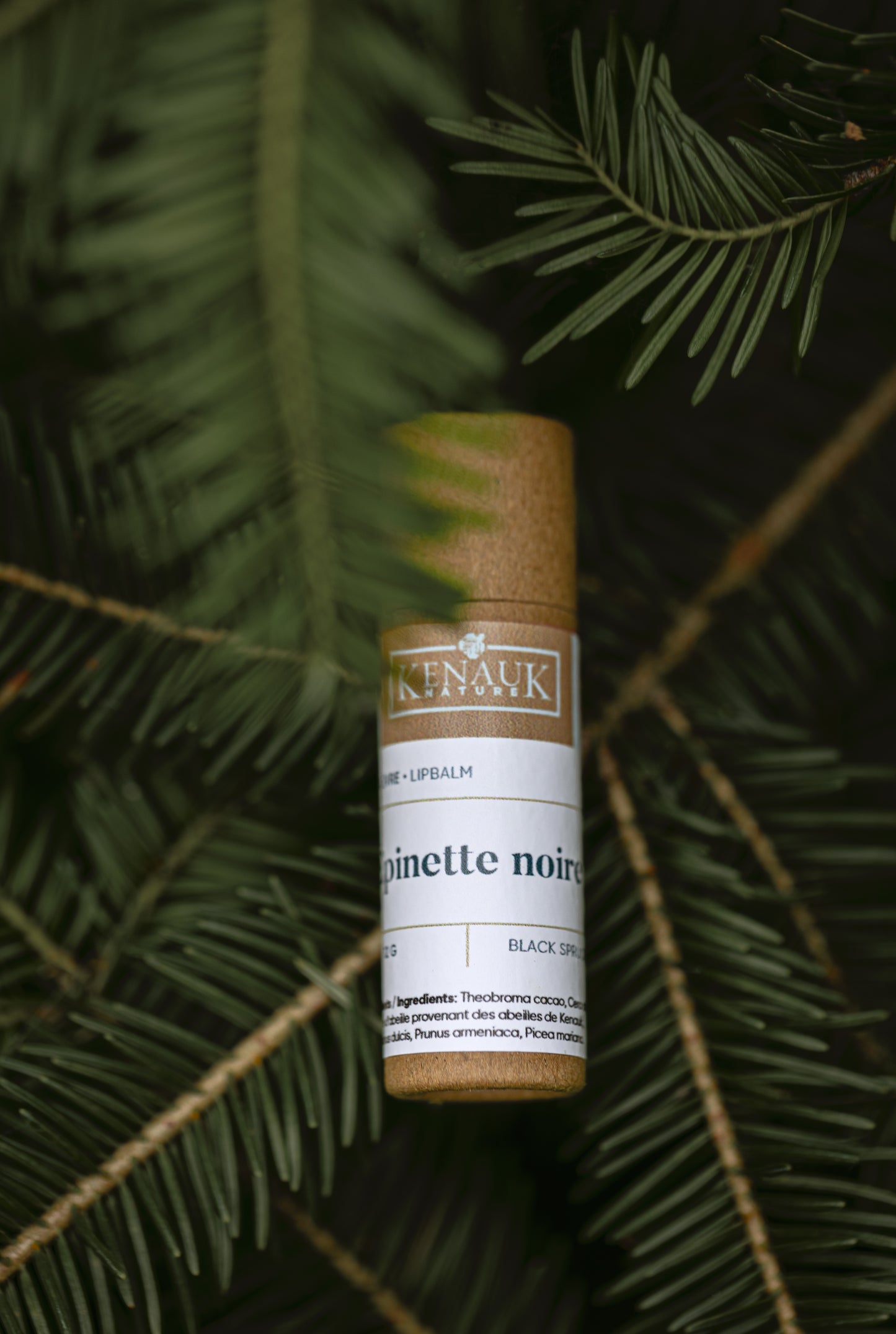 Baume à lèvres - Épinette noire