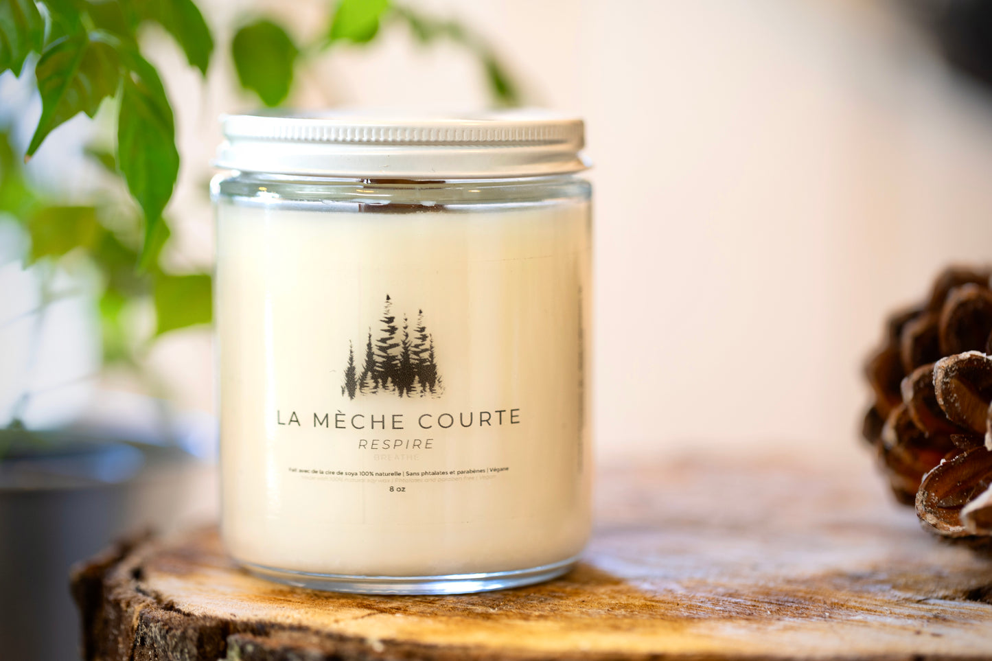 La mèche courte - Breathe