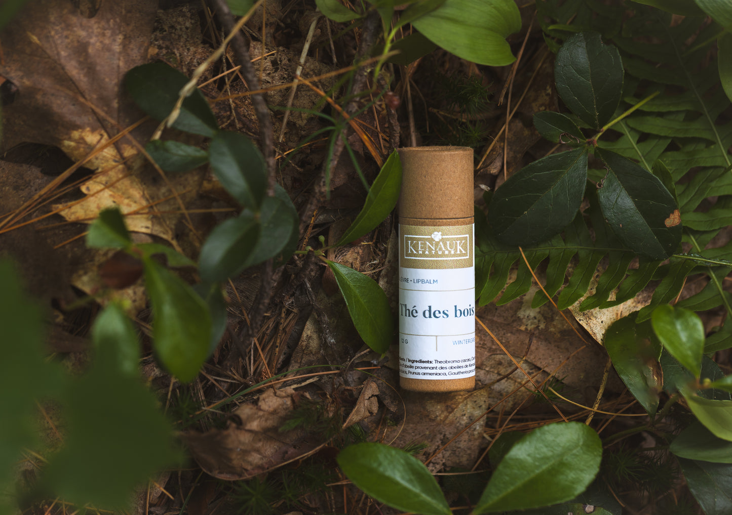 Baume à lèvres - Thé des bois