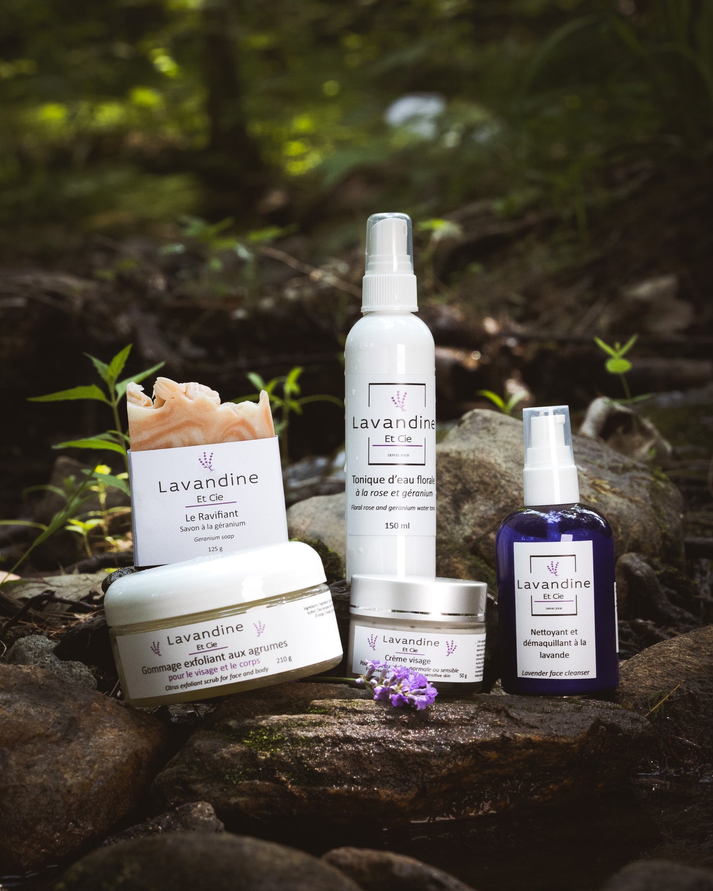 Nettoyant et Démaquillant à la lavande
