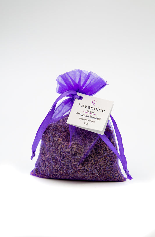 Lavender Flower Sachet - Large